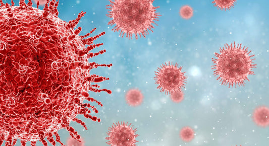 TOP 4 WAYS TO BOOST YOUR IMMUNE SYSTEM
