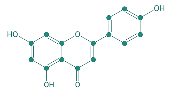 Apigenin