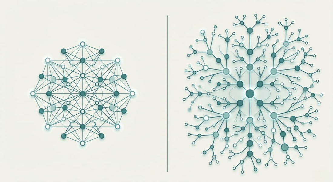 Ampk vs mtor: the metabolic pathways that shape longevity