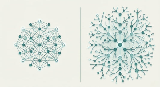 Ampk vs mtor: the metabolic pathways that shape longevity