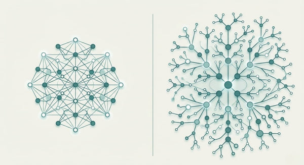 Ampk vs mtor: the metabolic pathways that shape longevity
