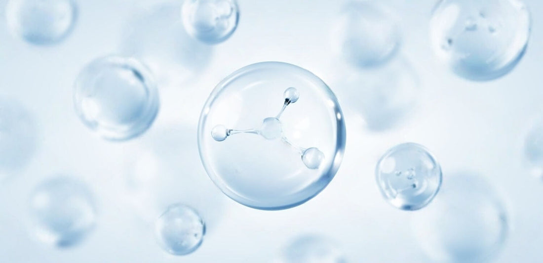 The 12 hallmarks of aging