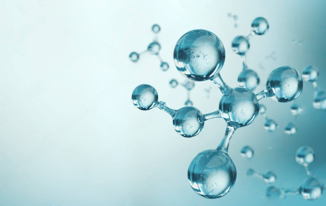 The science behind longevity supplements