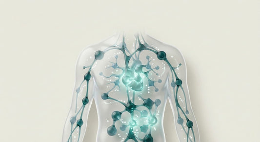 Inflammation and aging: what is inflammaging?