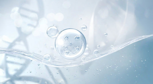 The health benefits of Resveratrol