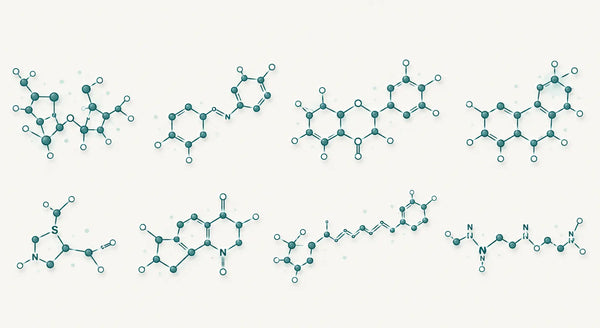 Precision Longevity ingredients: the science behind all 8 actives