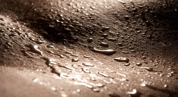 Skin aging and nad+: the cellular link between longevity and your skin