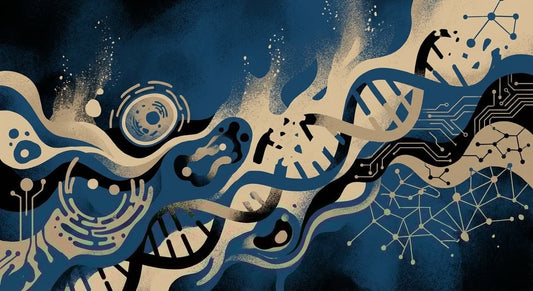 The 12 hallmarks of aging