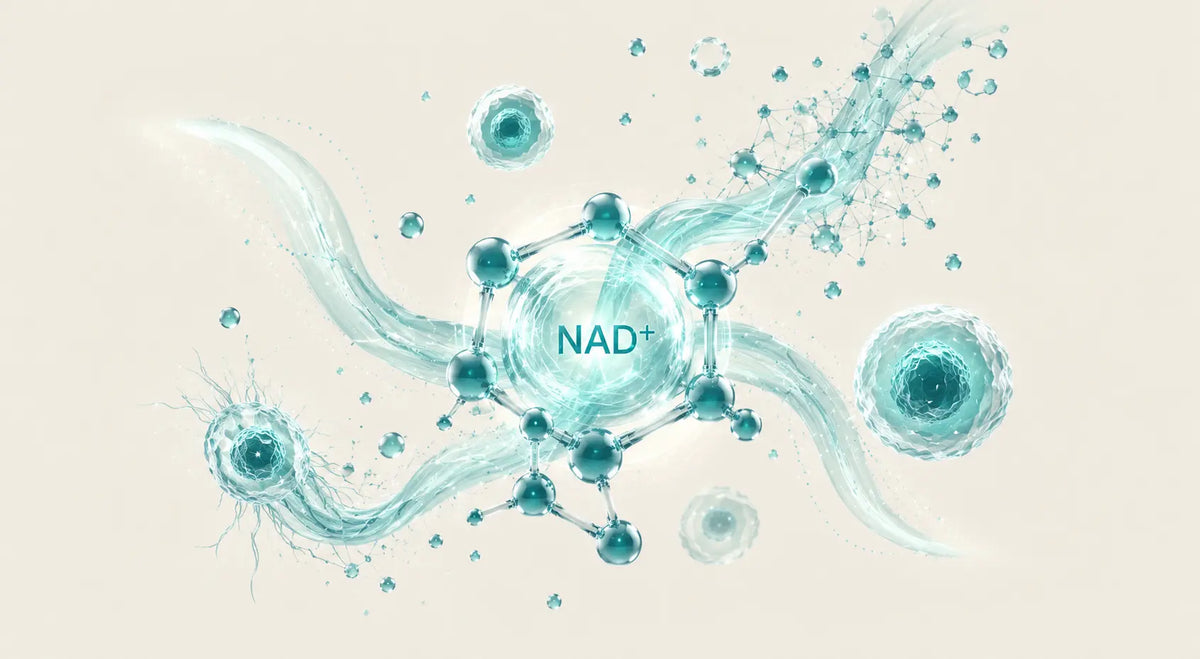 What is a complete NAD+ formula? The 4 criteria that matter.