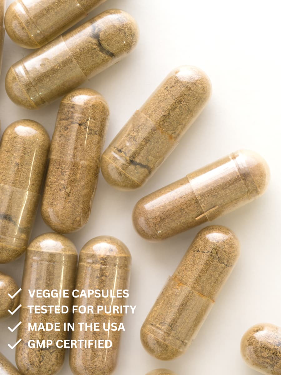 Berberine — Blood Sugar Support