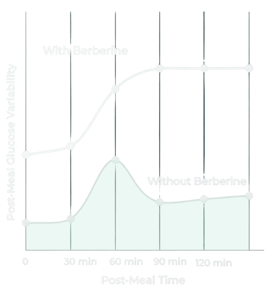The metabolic science of Berberine