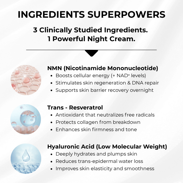Innovage NMN Night Cream by Solensis