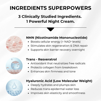 Innovage NMN Night Cream by Solensis