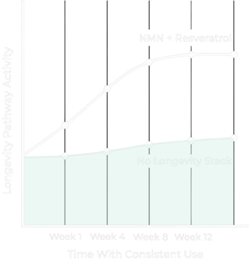 The NAD⁺–Sirtuin Connection