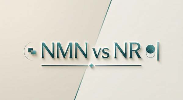 NMN versus NR blog post
