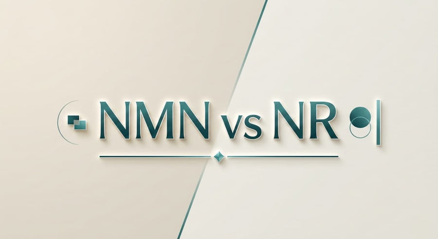 NMN vs NR: what is the real biological difference?