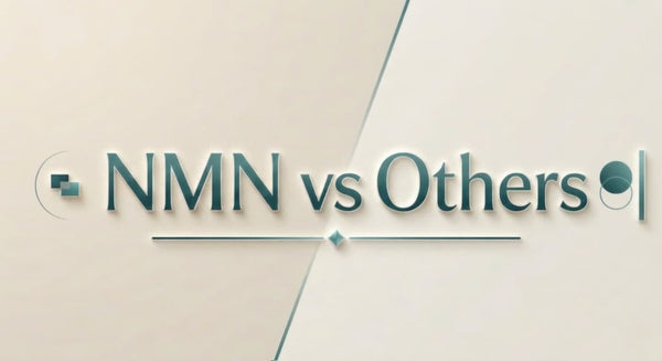 NMN vs others illustration