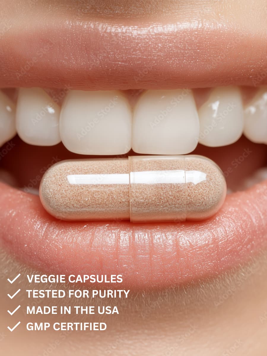 Resveratrol — SIRT1 Activator