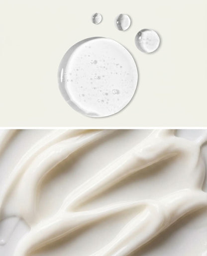 Serum and night cream texture